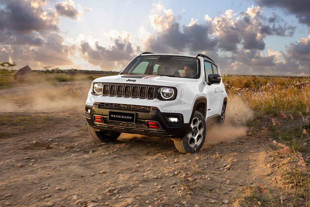 desc-gen-ext1-1-1.jpg.img.1000